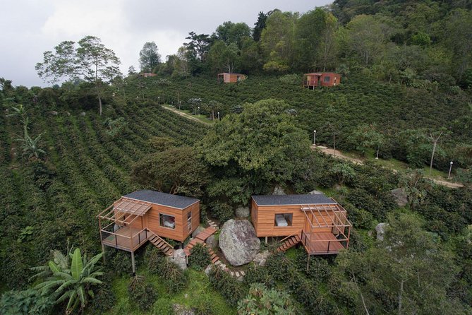 Paisaje del lote
